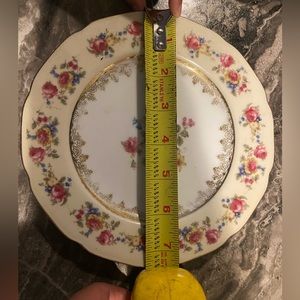 Gold castle will include 2 plates